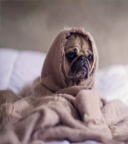 信阳有这样的手机号码，留不住钱，你中枪了吗？