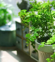 信阳专属于你的开运指南，助你鸿运当头福满身！