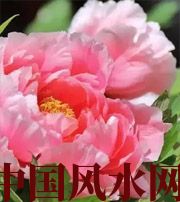 信阳预示你财运上升，姻缘可成的梦境，快来看看吧！