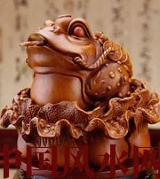 信阳解读金蟾最合适的位置，这样摆放更招财！