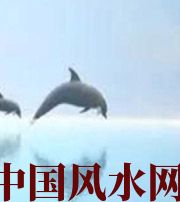 信阳做梦梦到这些，是要富裕的征兆！